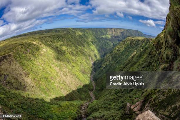 elevated view towards waipio valley across waimanu valley in hawaii - waimea valley bildbanksfoton och bilder