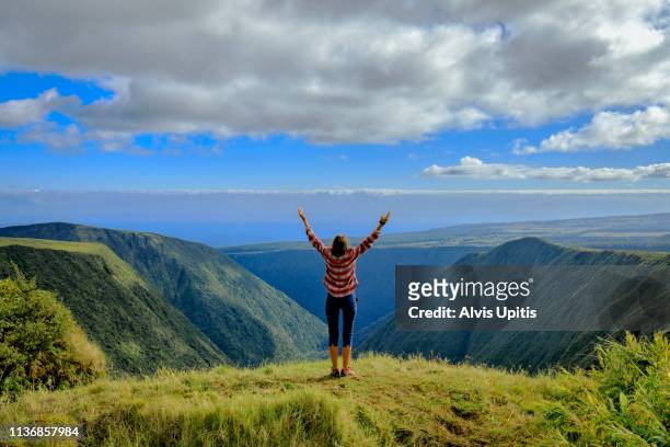 hiker celebrates view towards waipio valley through alakahi valley in hawaii - waipio valley stockfoto's en -beelden
