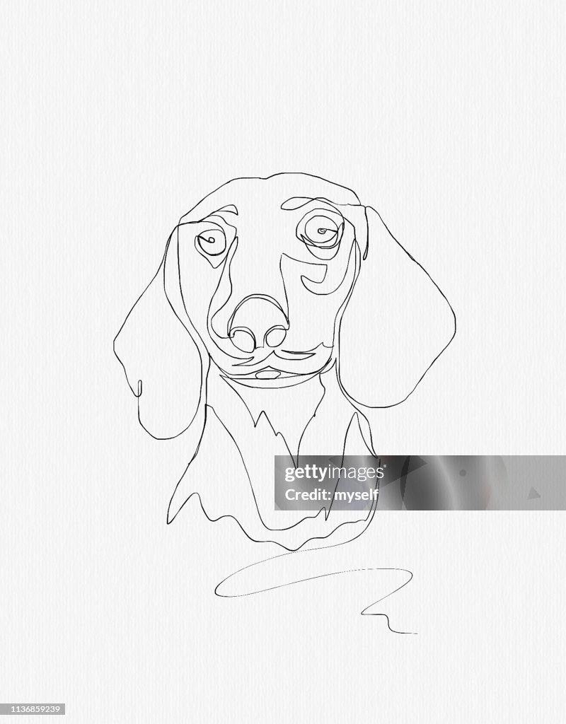 Illustration. Continuous line ink drawing. Dog dachshund on white background