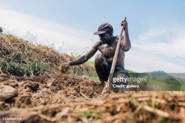 african farmer digging over the soil - african farming tools stock pictures, royalty-free photos & images
