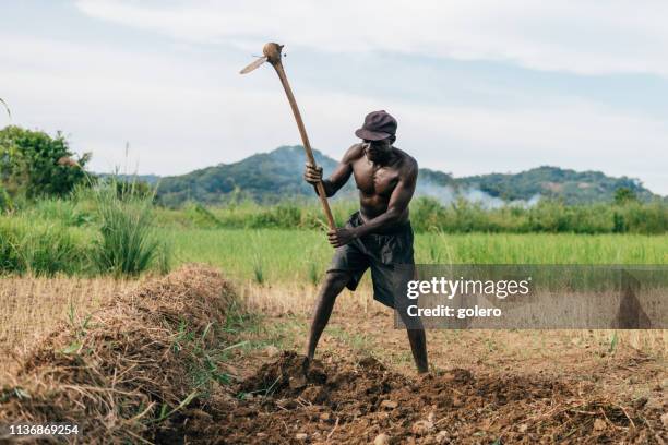 african farmer digging over the soil - african farming tools stock pictures, royalty-free photos & images