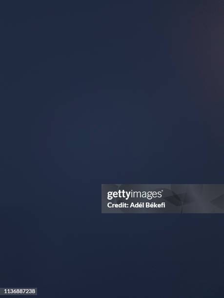 dark blue background - navy blue wall stock pictures, royalty-free photos & images