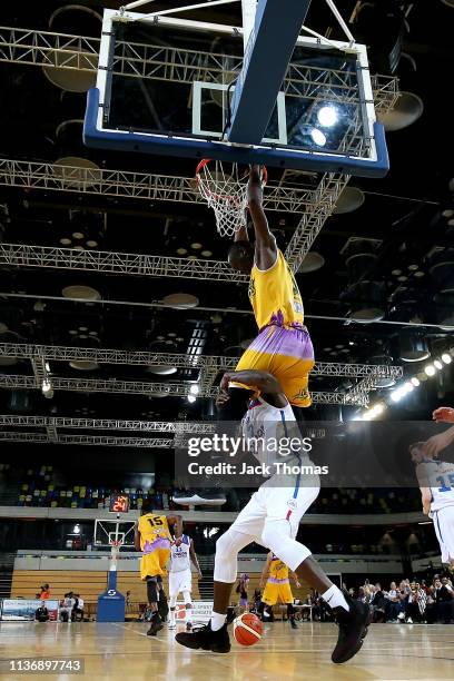 43 Ashley Hamilton (Basketball) Stock Photos, HighRes Pictures, and