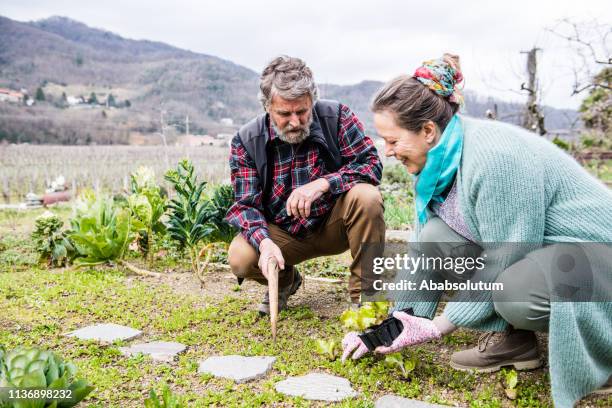 senior couple working in the garden in early springtime, southern europe - couple gardening stock pictures, royalty-free photos & images