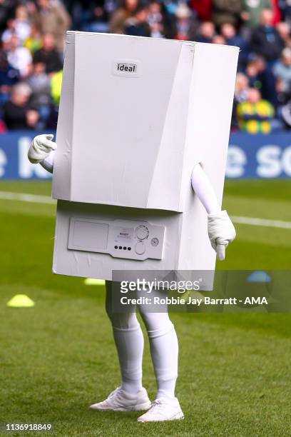 klok Hick opening 489 West Brom Mascot Photos and Premium High Res Pictures - Getty Images