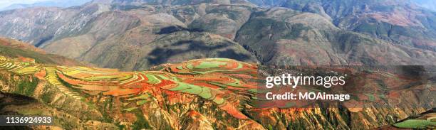 the red land in dongchuan,kunming,yunnan,china - kunming stock pictures, royalty-free photos & images