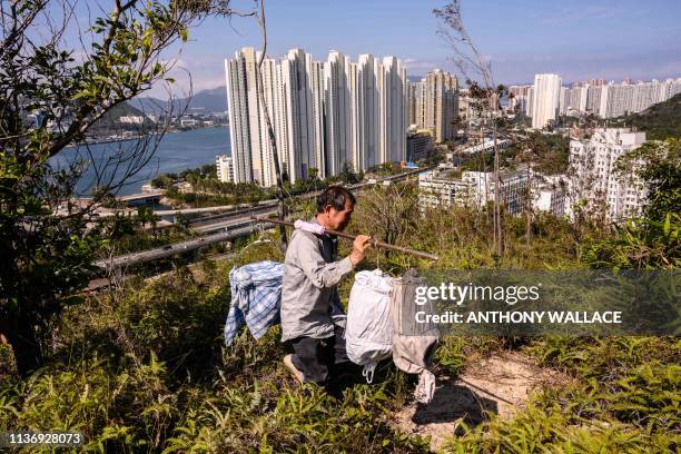 This photo taken on February 14, 2019 shows beekeeper Yip Ki-hok using a metal pole to support a bucket of honeycombs and drawstring bags containing...