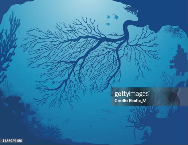 bildbanksillustrationer, clip art samt tecknat material och ikoner med djup havs backgroud/landskap under havet - blue anemone