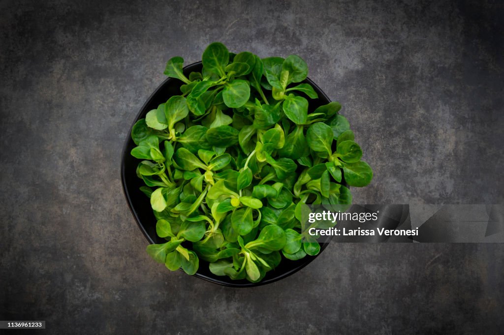 Organic lamb's lettuce