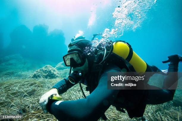 scuba diver exploring sea bottom - scuba bubbles stock pictures, royalty-free photos & images