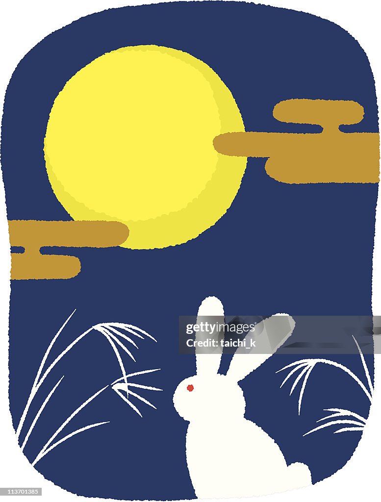 Rabbit of view the moon