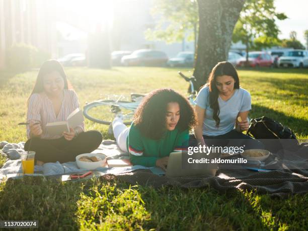 female friends study together outside - university student picnic stock pictures, royalty-free photos & images