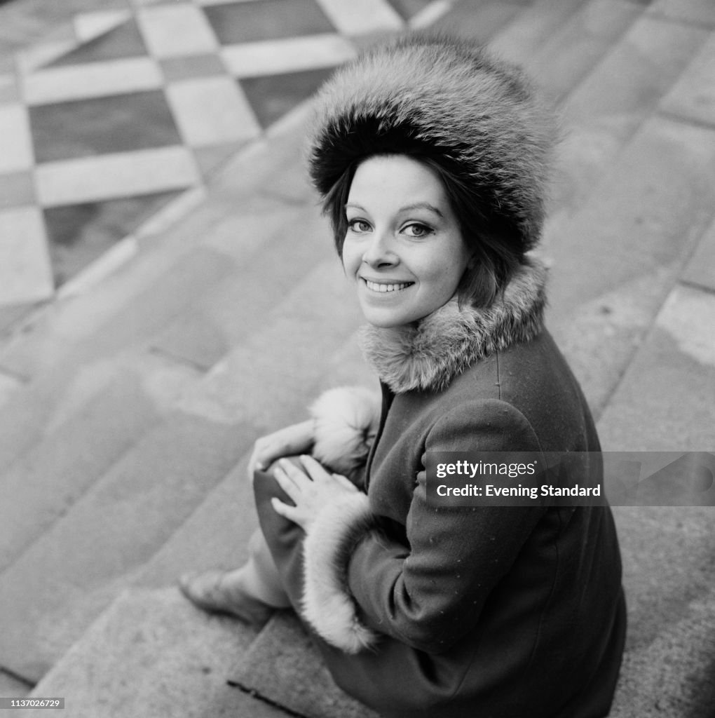 English Actress Anna Calder Marshall Sitting On The Steps Of The english-actress-anna-calder-marshall-sitting-on-the-steps-of-the