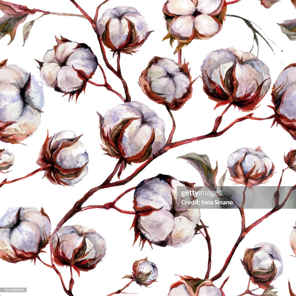 Cotton Design Pattern Watercolor Cotton Pattern High-Res Vector Graphic - Getty Images
