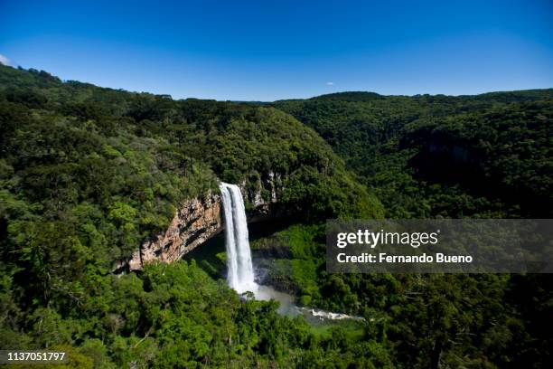 parque do caracol - canela bildbanksfoton och bilder