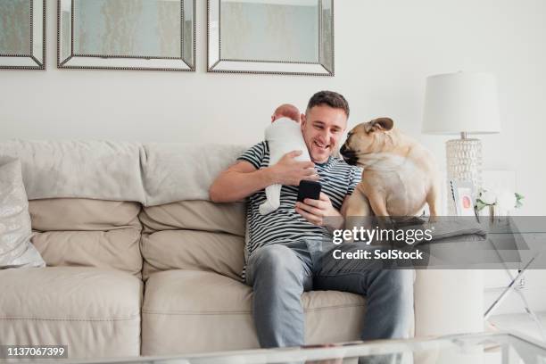 3,970 Multitasking Parent Phone Stock Photos, High-Res Pictures, and ...