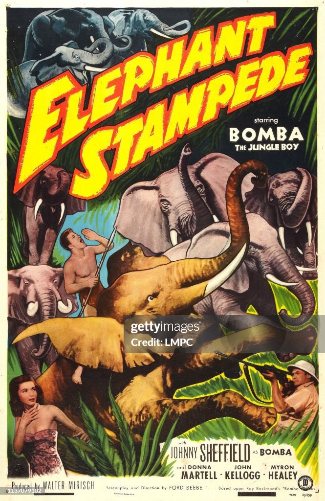 Elephant Stampede