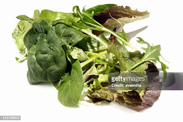 insalata mista isolato su bianco - green salad foto e immagini stock