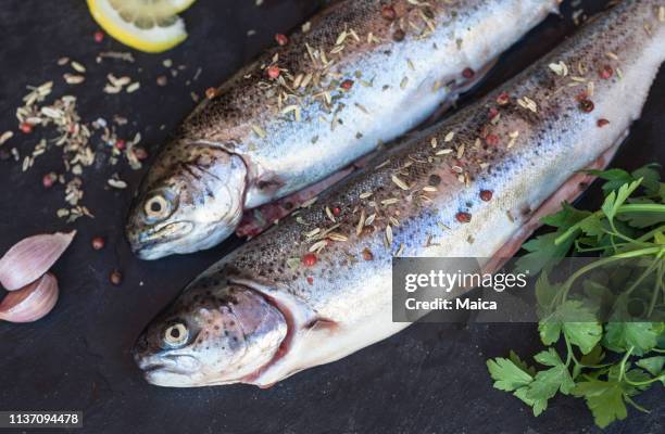fresh raw trout fish on black background - truta imagens e fotografias de stock