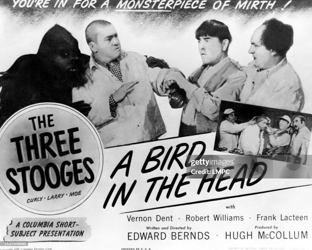 A Bird In The Head