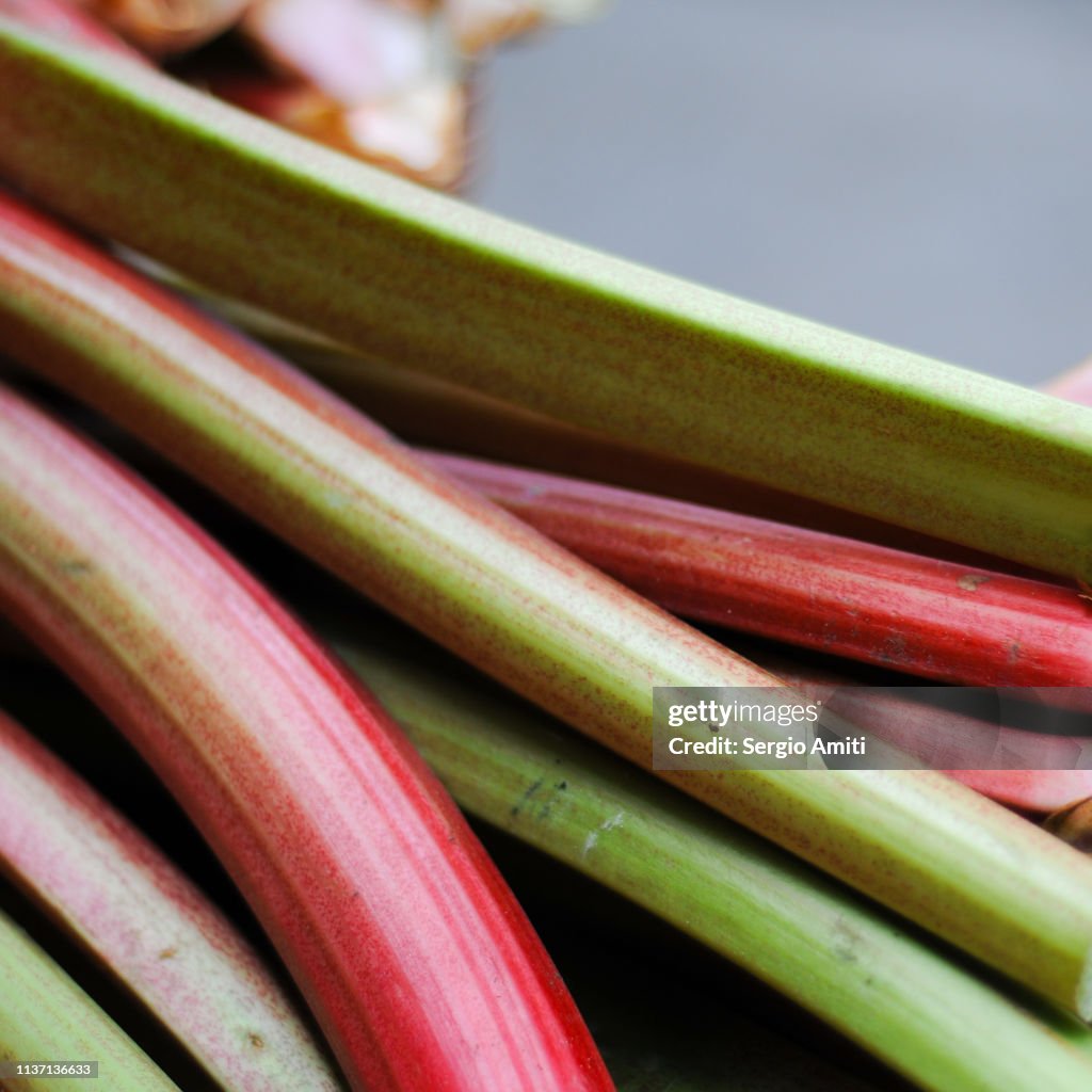 Rhubarb stems