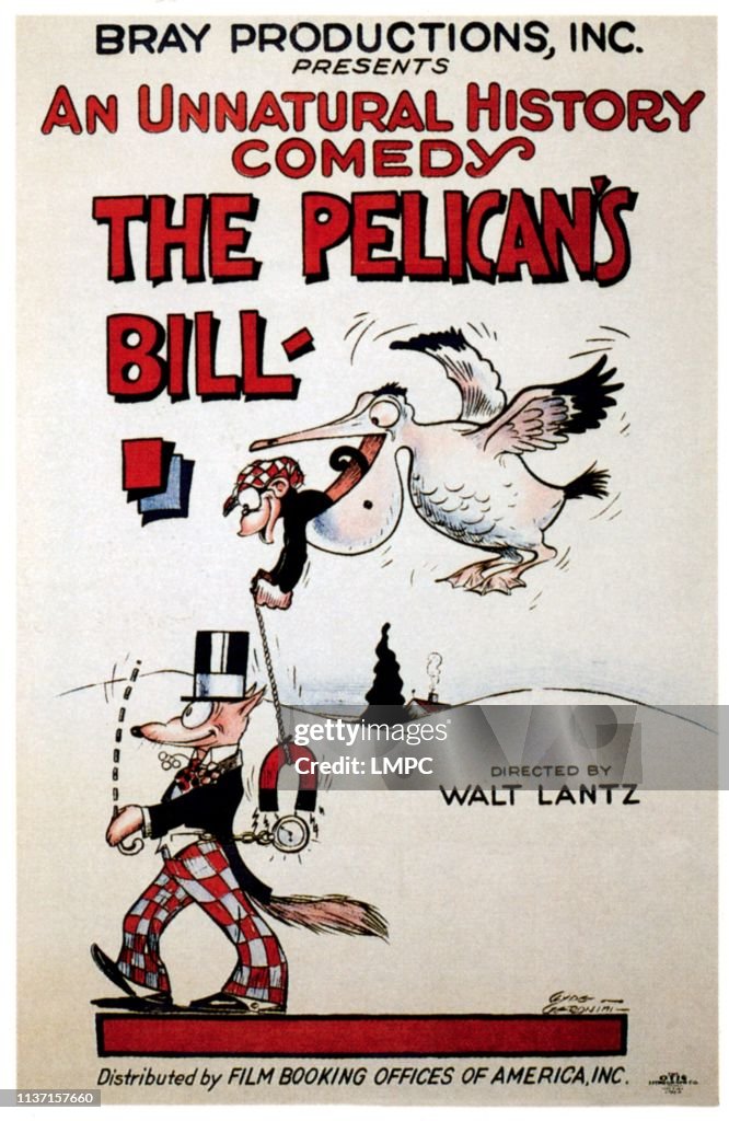 The Pelican's Bill