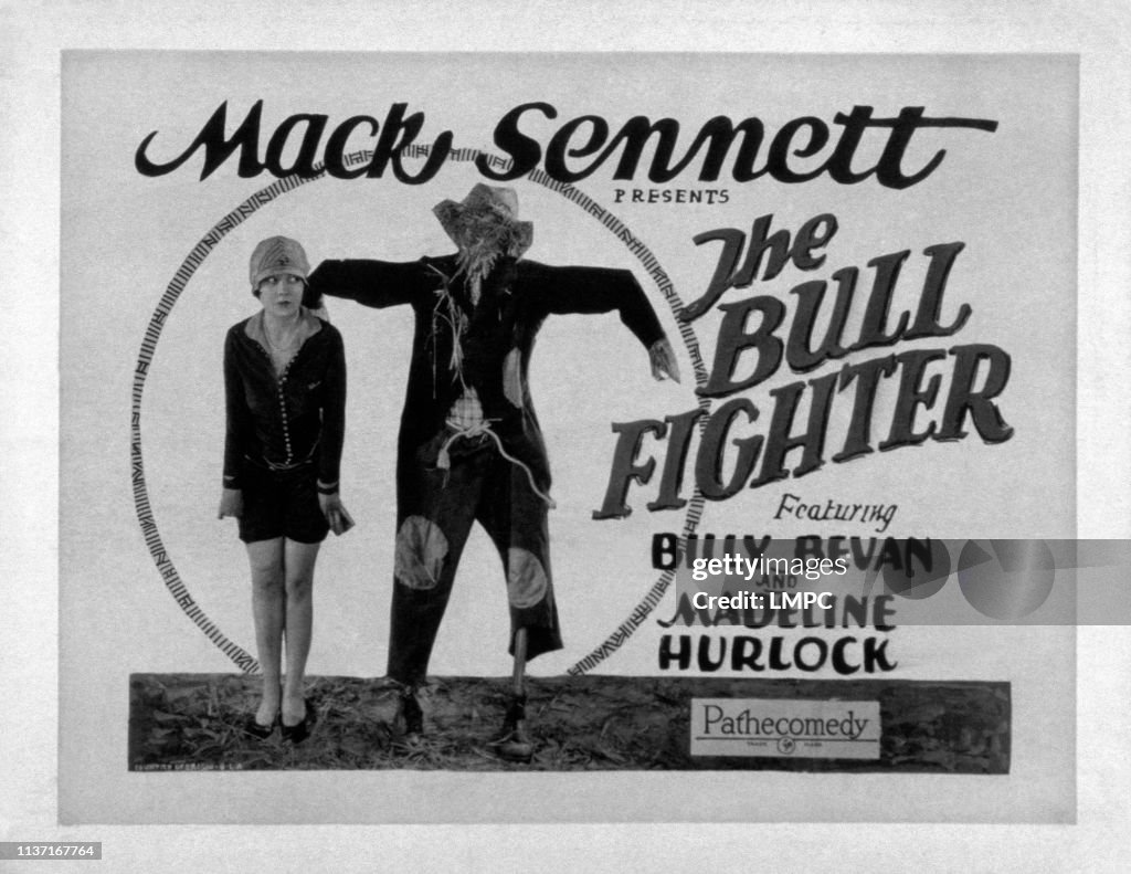 The Bull Fighter