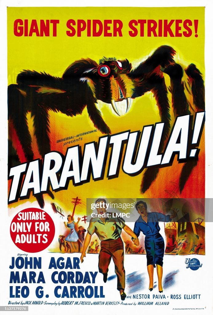 Tarantula!