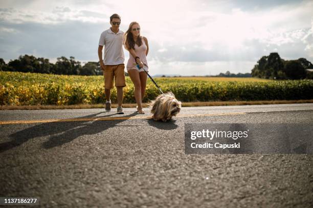 couple walking with their dog - couple crossing street stock pictures, royalty-free photos & images