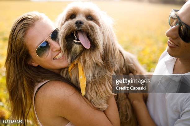 couple with their dog in the fields - lhasa apso stock pictures, royalty-free photos & images