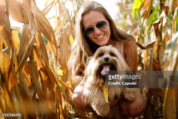 woman with her dog in nature - lhasa apso stock pictures, royalty-free photos & images