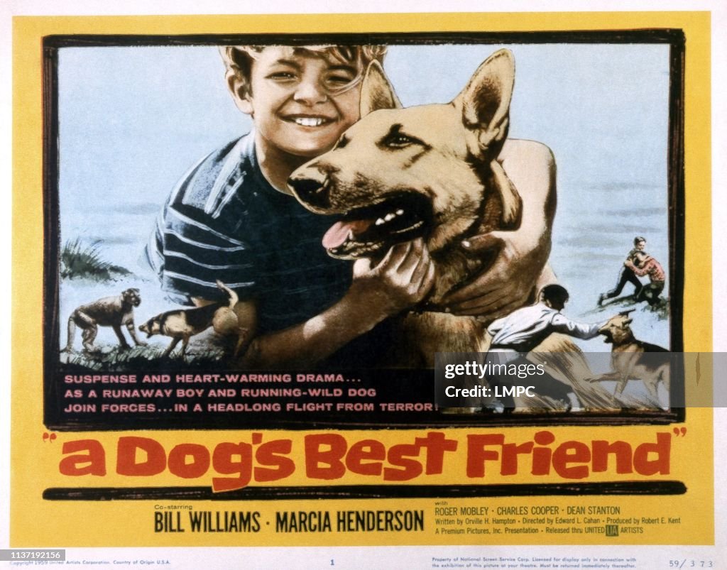 A Dog's Best Friend