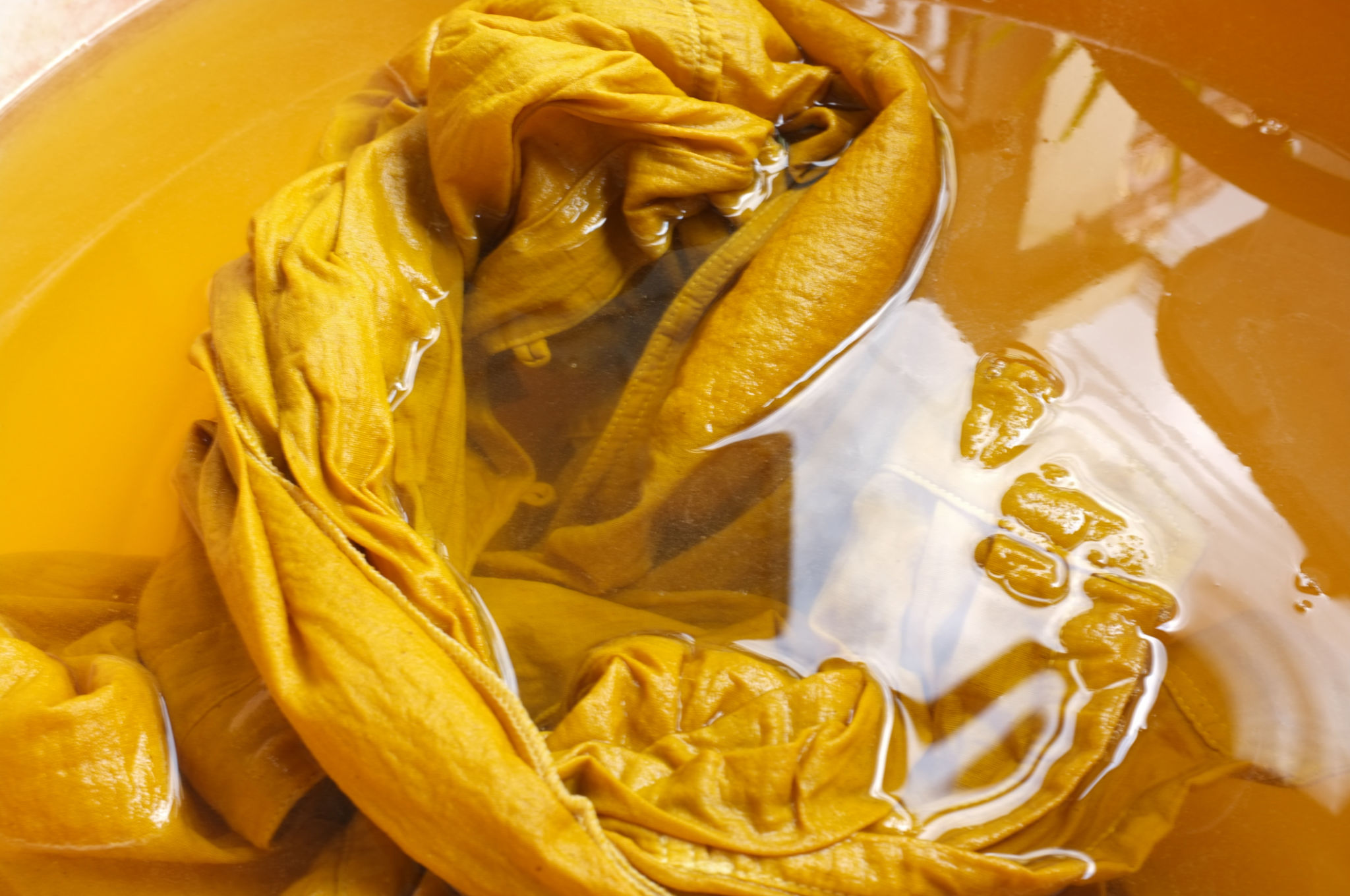 plant dyeing