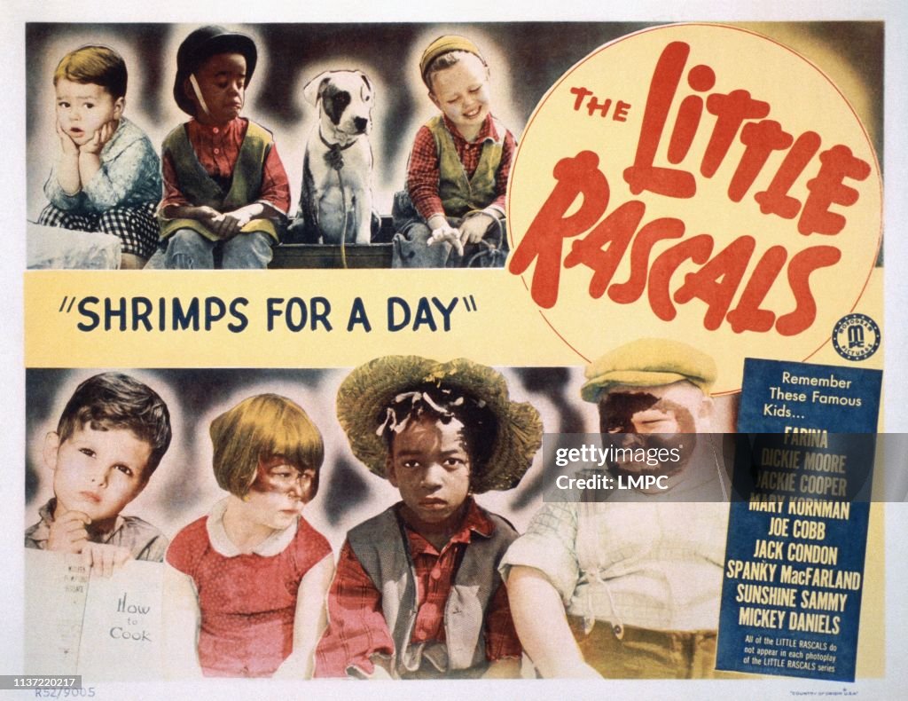 Shrimps For A Day