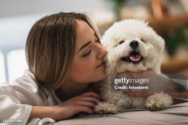 woman cuddling with her dog - bichon frise stock pictures, royalty-free photos & images