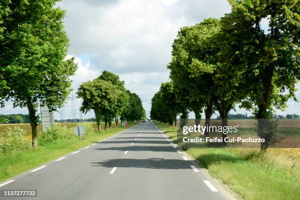 country road at artenay, loiret department, france - loiret ストックフォトと画像