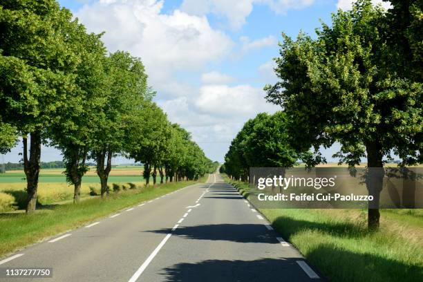 country road at artenay, loiret department, france - loiret stock pictures, royalty-free photos & images