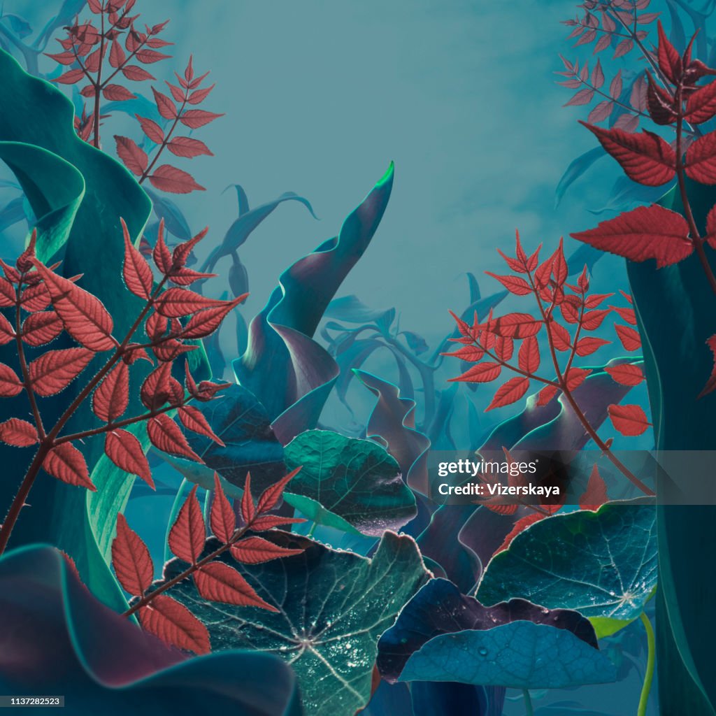 Fairy garden in myst