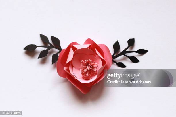 pink paper flower - paper flower stock-fotos und bilder