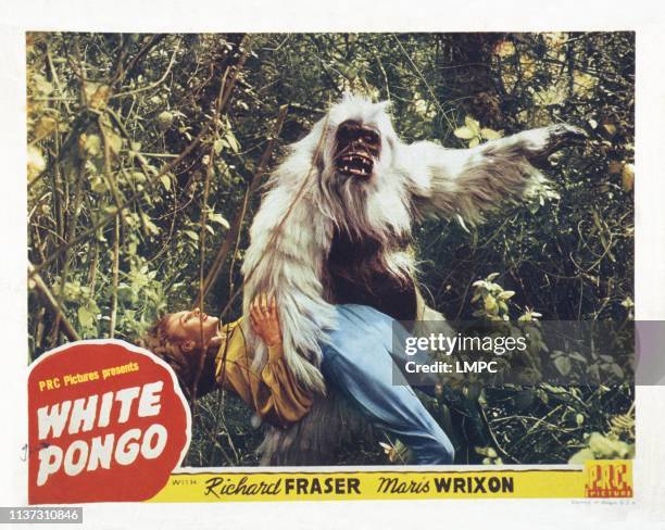 Pongo Ride 23 Maris Wrixon Stock Photos, High-Res Pictures, and Images - Getty Images