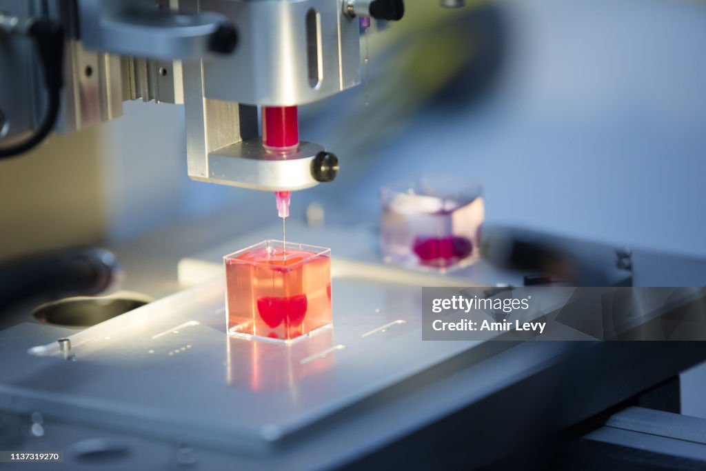 Presentation Of A 3d Live Heart Printed From Human Tissue At TA University