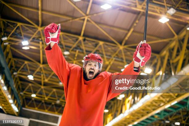 ice hockey celebrating - hockey helmet stock pictures, royalty-free photos & images