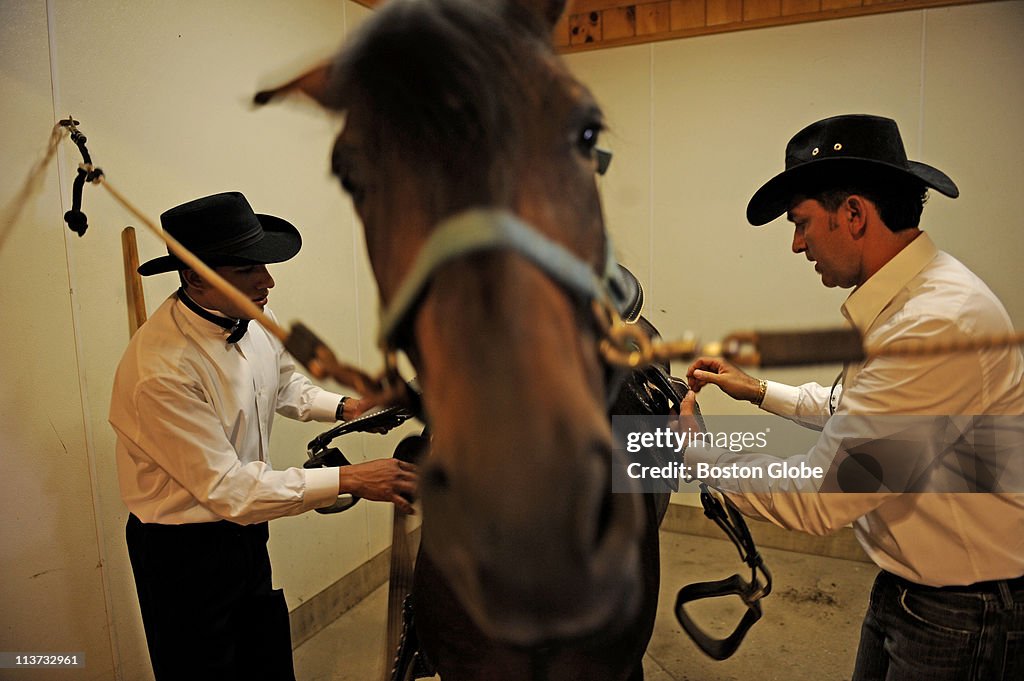 Paso Fino Horse Fair