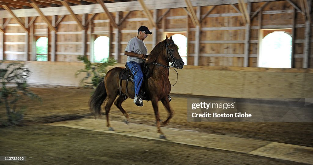 Paso Fino Horse Fair
