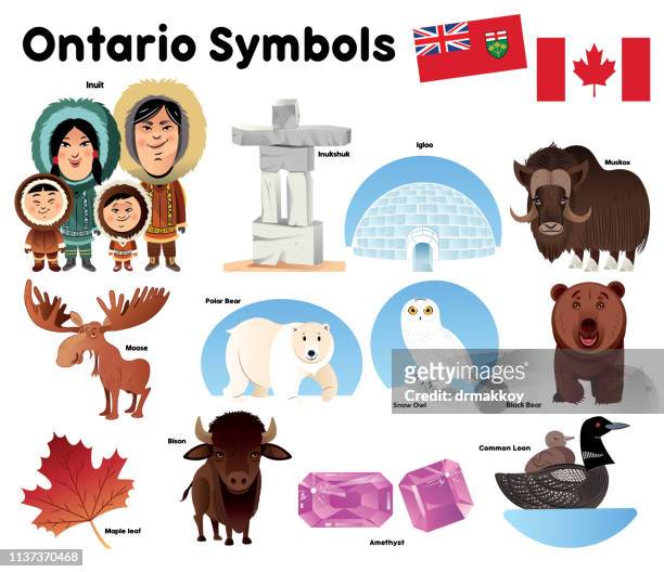 ilustraciones, imágenes clip art, dibujos animados e iconos de stock de ontario symbols - inuit