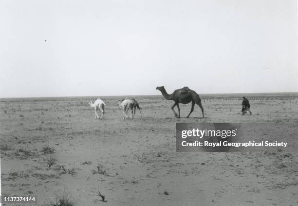 George Rendel 48 Dahna Stock Photos, High-Res Pictures, and Images - Getty Images