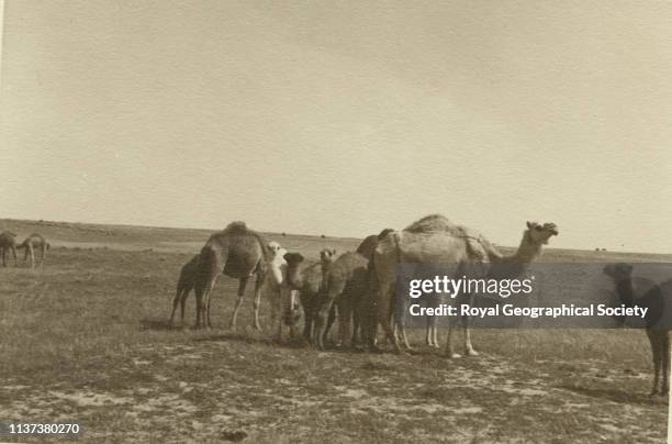 George Rendel 43 Uray Stock Photos, High-Res Pictures, and Images - Getty Images