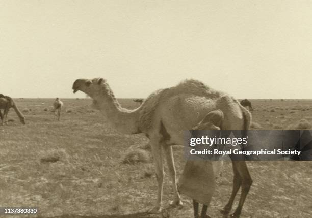 George Rendel 43 Uray Stock Photos, High-Res Pictures, and Images - Getty Images