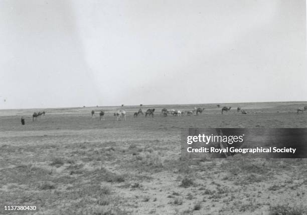 George Rendel 43 Uray Stock Photos, High-Res Pictures, and Images - Getty Images