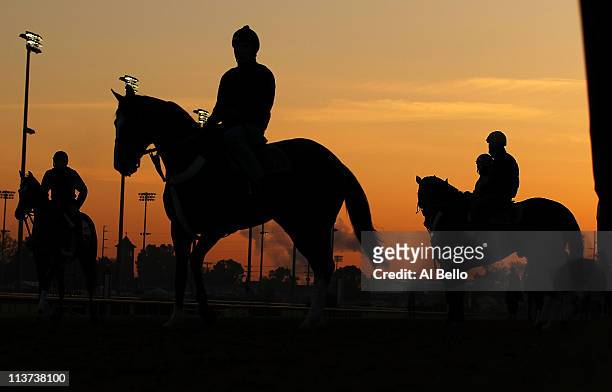Horses wait to enter the track trains during the morning exercise session in preparation for the 137th Kentucky Derby at Churchill Downs on May 5,...